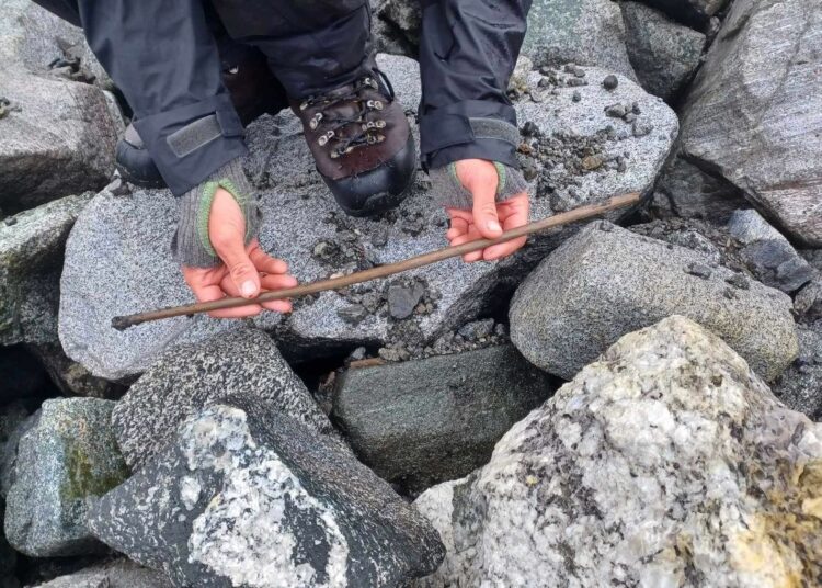 Descubren en Noruega una flecha de hace 4.000 años que se conservó en hielo