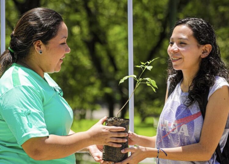 Entregan árboles como parte del Programa de Compensación Ambiental MOP- Fovial Verde