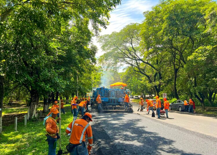 Trabajos de la autopista al aeropuerto llevan dos semanas de avances