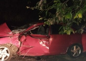 Conductor de vehículo impactó contra un árbol en carretera Panamericana