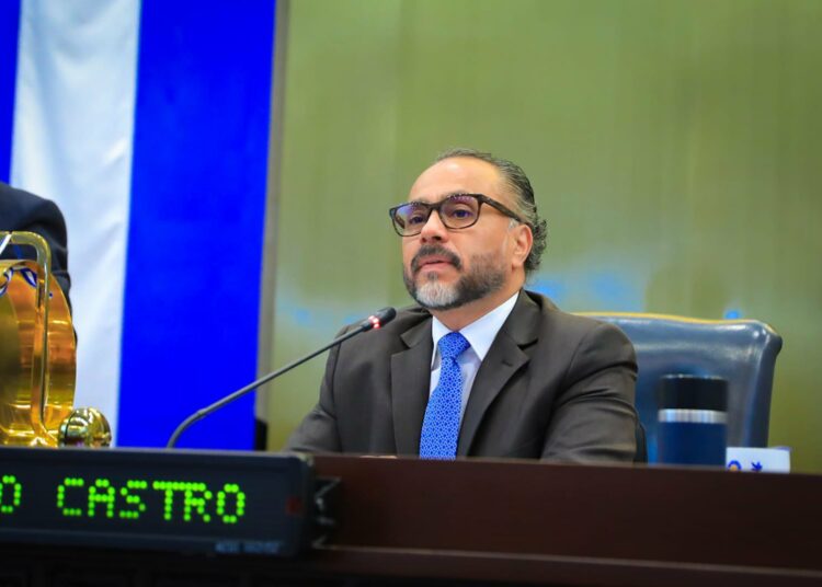 Ernesto Castro: “Arena y el Fmln se acabaron el medio ambiente del país”