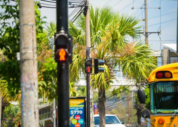 Instalarán semáforos peatonales en Plaza Salvador de Mundo