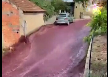 Dos millones de litros de vino tinto inundaron las calles de un pueblo de Portugal