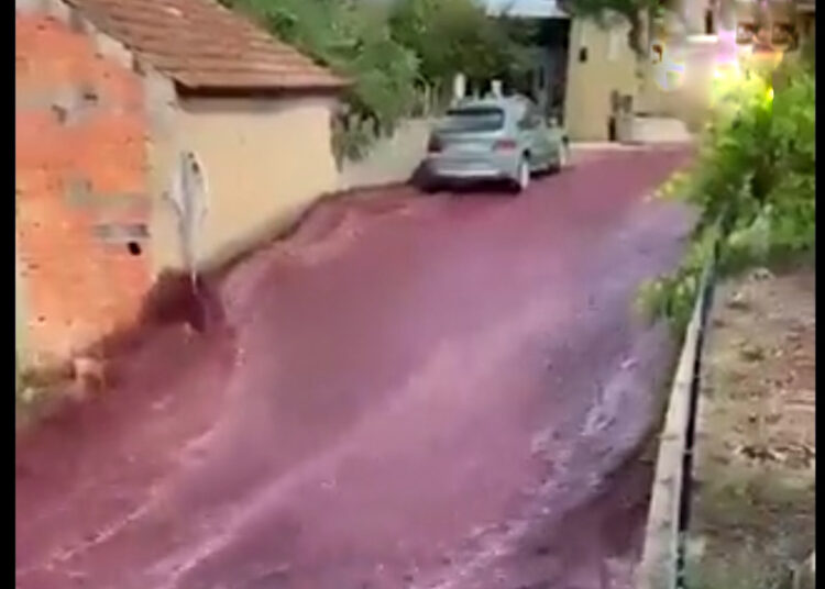 Dos millones de litros de vino tinto inundaron las calles de un pueblo de Portugal