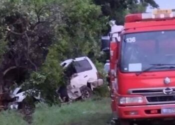 Joven fallece al impactar su vehículo contra un árbol en Puerto El Triunfo