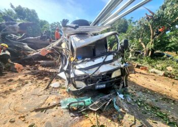Reportan varios lesionados tras caer un árbol sobre un pick up en Santa Ana