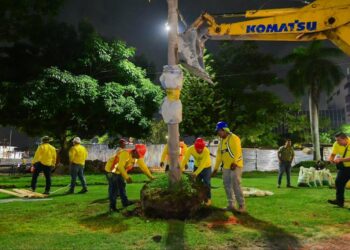 MOPT empieza la arborización en Plaza Salvador del Mundo