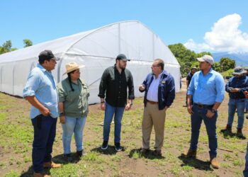 Anuncian la construcción de la primera central de abastos