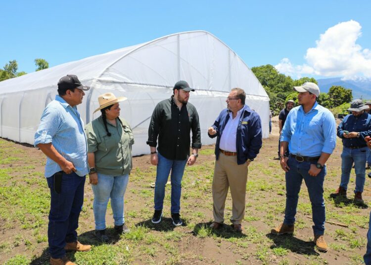 Anuncian la construcción de la primera central de abastos
