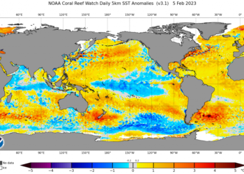 La NOAA prevé un fuerte evento de El Niño en los próximos meses