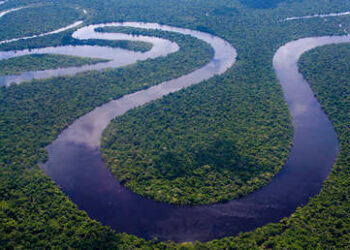 Decenas de estructuras precolombinas son encontradas bajo el manto de la selva amazónica