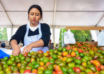 Desarrollan Feria de Jocote Corona 2023