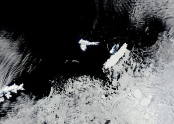 Un enorme iceberg choca contra una isla de la Antártida habitada por pingüinos