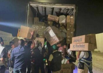 Comenzó a ingresar la ayuda humanitaria a la Franja de Gaza