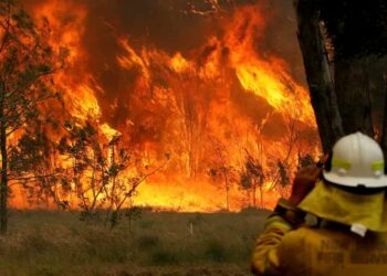 Decenas de incendios arden sin control en Australia
