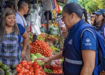 Defensoría del Consumidor continuó inspecciones de precios en verduras, frutas y hortalizas