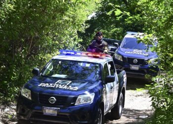 Intensifican controles migratorios en 200 puntos no habilitados en fronteras para evitar delitos