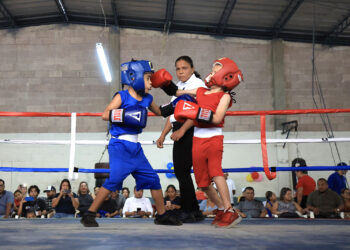 La Fesalbox busca nuevos talentos