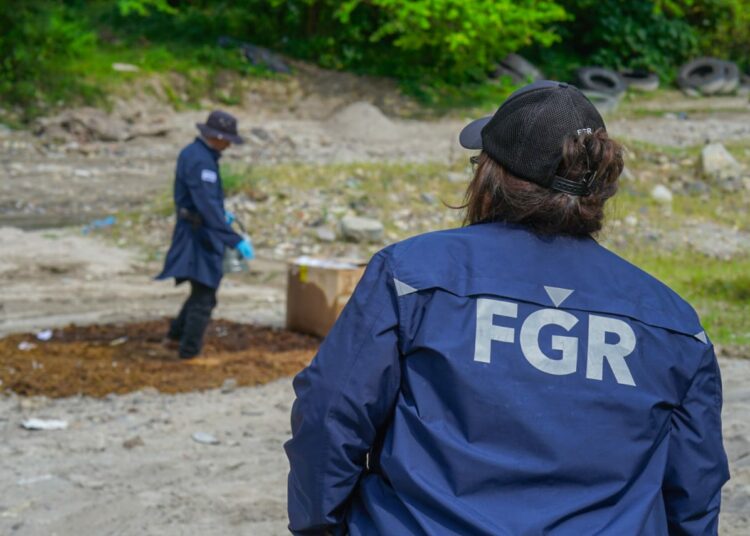 Autoridades destruyen más de $60,000 en drogas incautadas en el centro y occidente del país
