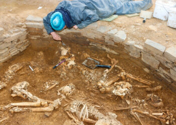 Hallan 14 esqueletos en una tumba de 5.000 años de antigüedad en el Reino Unido