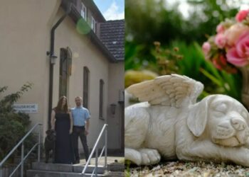 Alemania abrirá una iglesia para despedirse de mascotas fallecidas