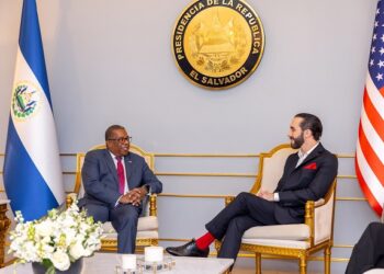 Brian Nichols: «(Los salvadoreños) van a tener oportunidad de expresar su voluntad en las urnas y pueden decidir si están de acuerdo o no con ese proceso»