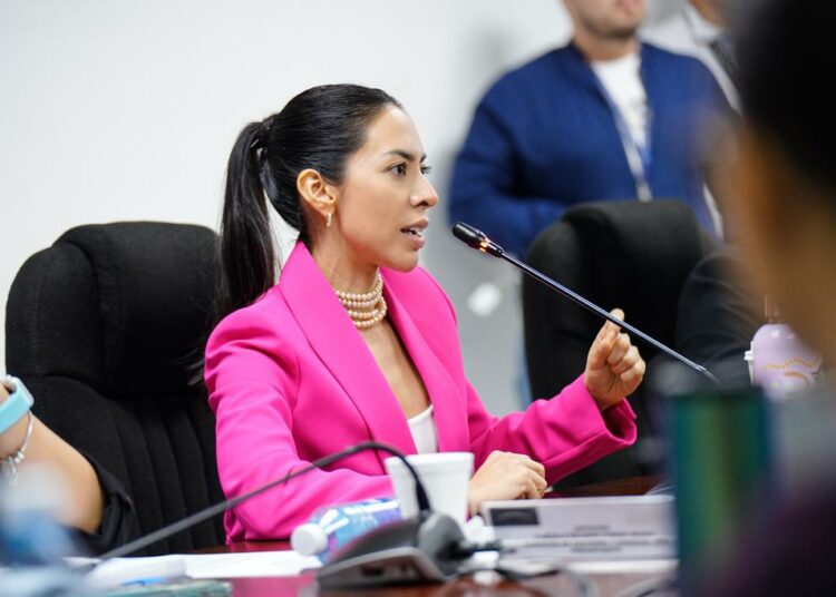Suecy Callejas: «El bienestar social es una inversión pública que tenemos que priorizar»