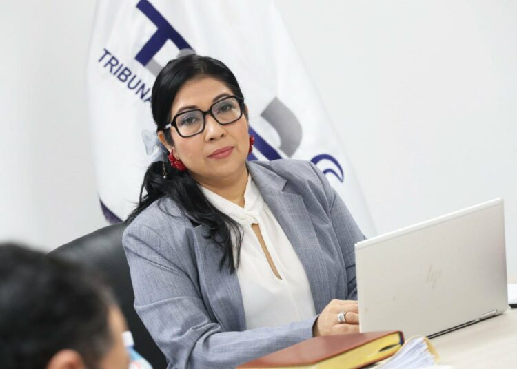 TSE inicia estudio de sistema informático para monitorear el sufragio