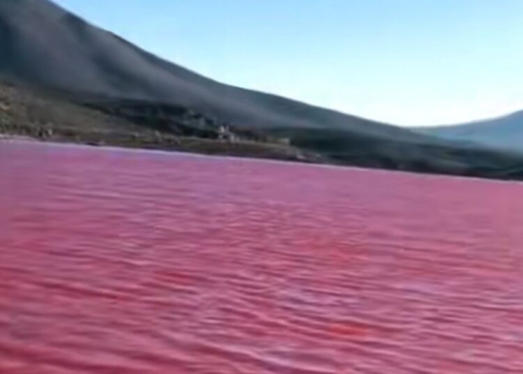 (VIDEO) ¿Sangre en el Nilo?: El río se tiñe de rojo y causa conmoción en redes sociales