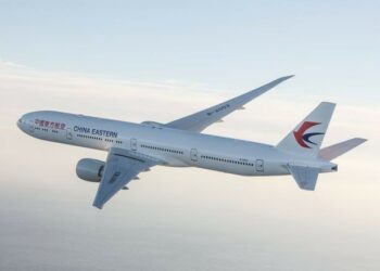 Una aerolínea china se confundió en la traducción y pasó un menú de “comida para perros” a los pasajeros de clase ejecutiva