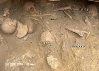 Una tumba milenaria emerge durante obras de urbanización en México