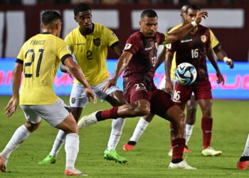 Venezuela y Ecuador no se hicieron daño