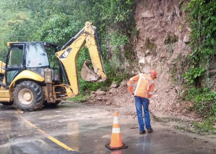 Equipos despejan vías obstruidas por árboles caídos o deslizamientos de tierra