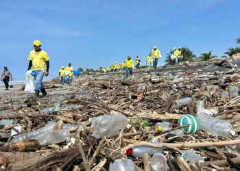 Contabilizan 2,293 toneladas de residuos sólidos recolectados en jornadas de limpieza