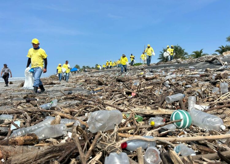 Contabilizan 2,293 toneladas de residuos sólidos recolectados en jornadas de limpieza