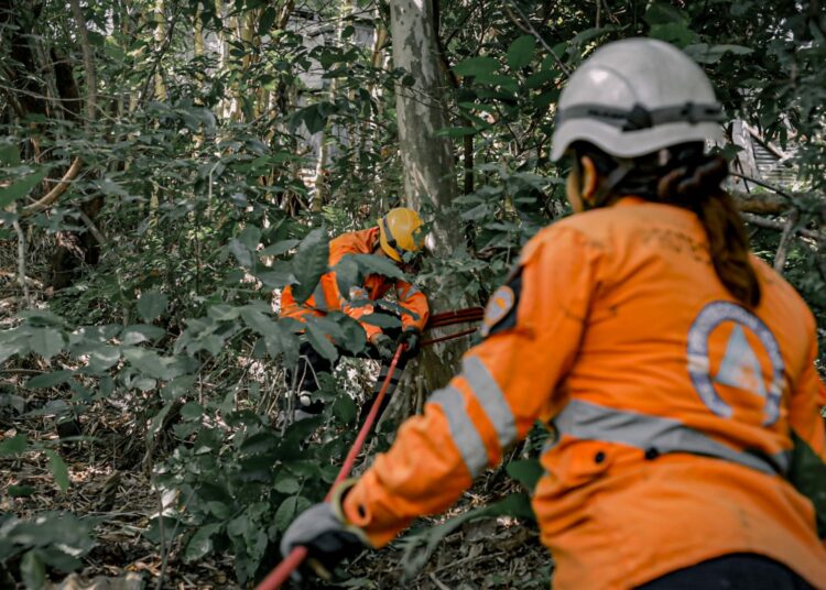 Instituciones de primera respuesta se mantienen alerta ante aumento de vientos en el país