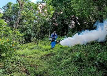 Estrategias de prevención evitan transmisión del dengue