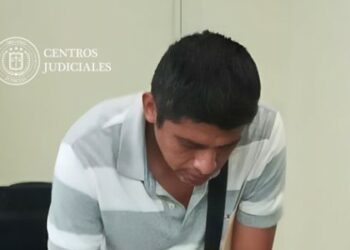 Hombre que transportaba madera sin contar con los permisos es obligado a sembrar 50 árboles de cedro