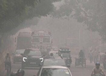 Una masa de aire tóxico en Nueva Delhi obliga a cerrar escuelas y utilizar mascarillas