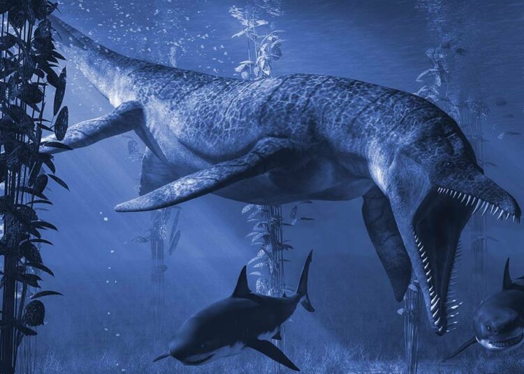 Encuentran en Japón vestigios de un monstruoso ‘dragón azul’ que aterrorizó los mares prehistóricos