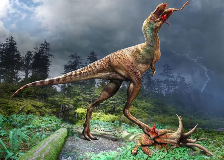 Un fósil revela cuál fue la última comida de un joven tiranosaurio