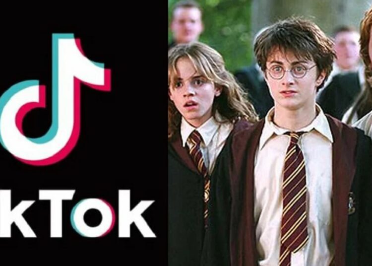 A qué personaje de Harry Potter me parezco: este filtro de TikTok te lo dice