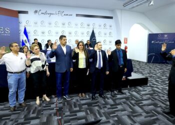 INDES eligió miembros del Comité Directivo en Asamblea General con federaciones y asociaciones