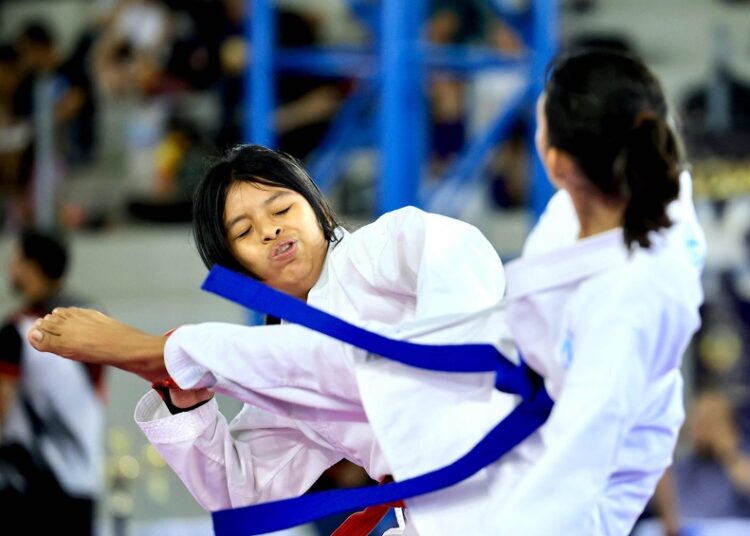 Karate de alto nivel en la Copa Japón 2023