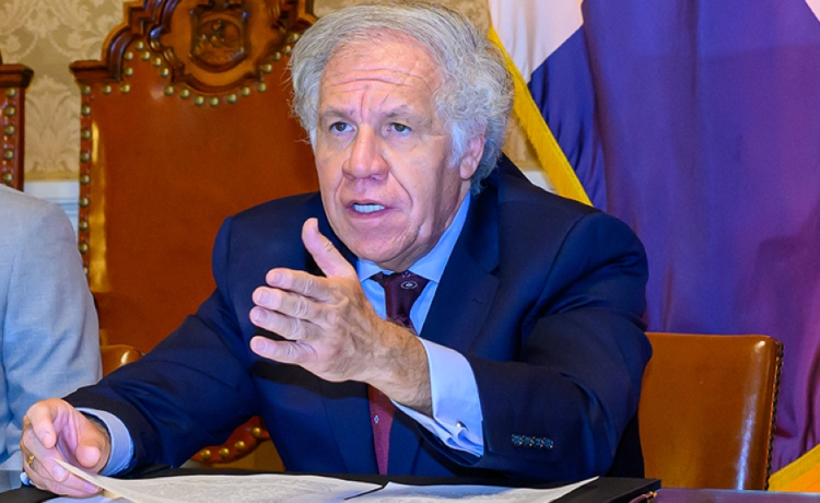 La OEA condena «intento de golpe de Estado» en Guatemala, Arévalo insiste en que jurará el cargo