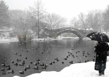 Ola de frío congela la mayor parte de China y cierra autopistas y carreteras