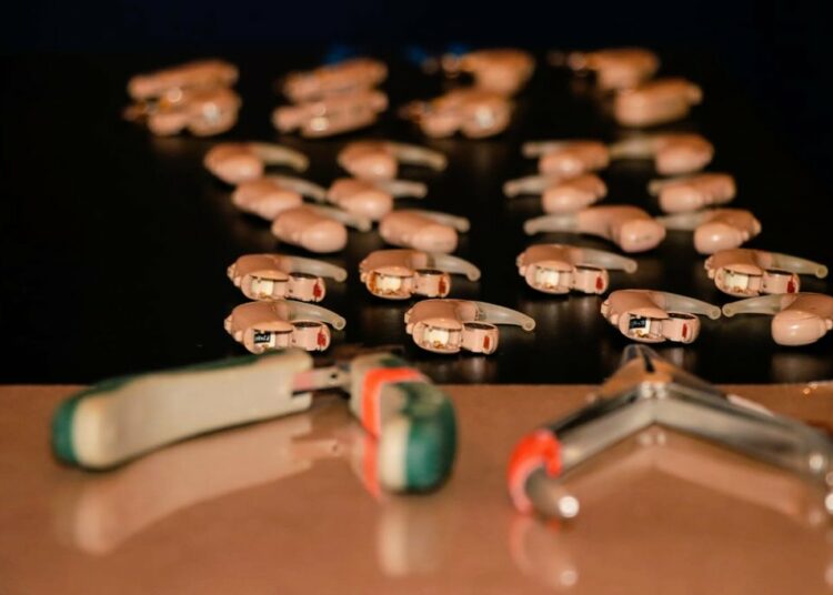 ISRI y Bienestar Social entregan aparatos auxiliares auditivos a niños y adultos