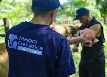 MAG verificó ganado apto para mejora genética en Zacatecoluca