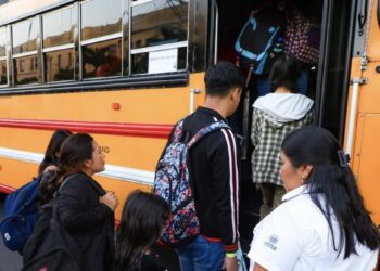 Gobierno pone a disposición Buses Alegres para temporada de fin de año