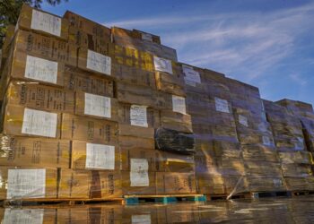 Autoridades destruyen 10.6 millones de cigarrillos que fueron ingresados al país de manera ilegal